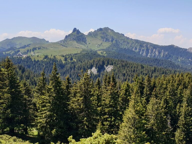 Munții Ciucaș și prima mea întâlnire cu ursul