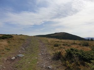 125279511_679154982738102_6745942613463743687_n