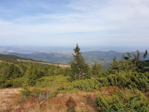 125280724_279287050160799_5185314077529563747_n