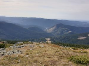 125284810_400572281352875_8015383926700728266_n