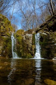 172281359_4313546865373935_1155556125748117242_n