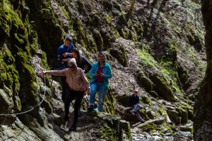 172517875_4313546758707279_5127818194594062156_n