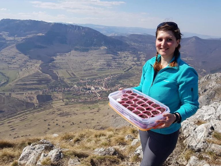 Székelykő Várfalva felől