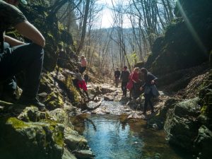 172815337_4313546522040636_3529373103621488163_n