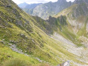 Moldoveanu2020_3lepesre