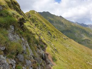 Moldoveanu2020_3lepesreahalal