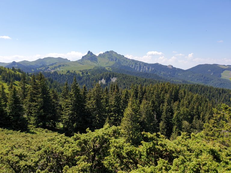 Ciucaș Mountains and my first meeting with the bear